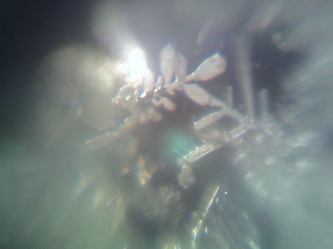 Snowflake #1 Snowflake #1