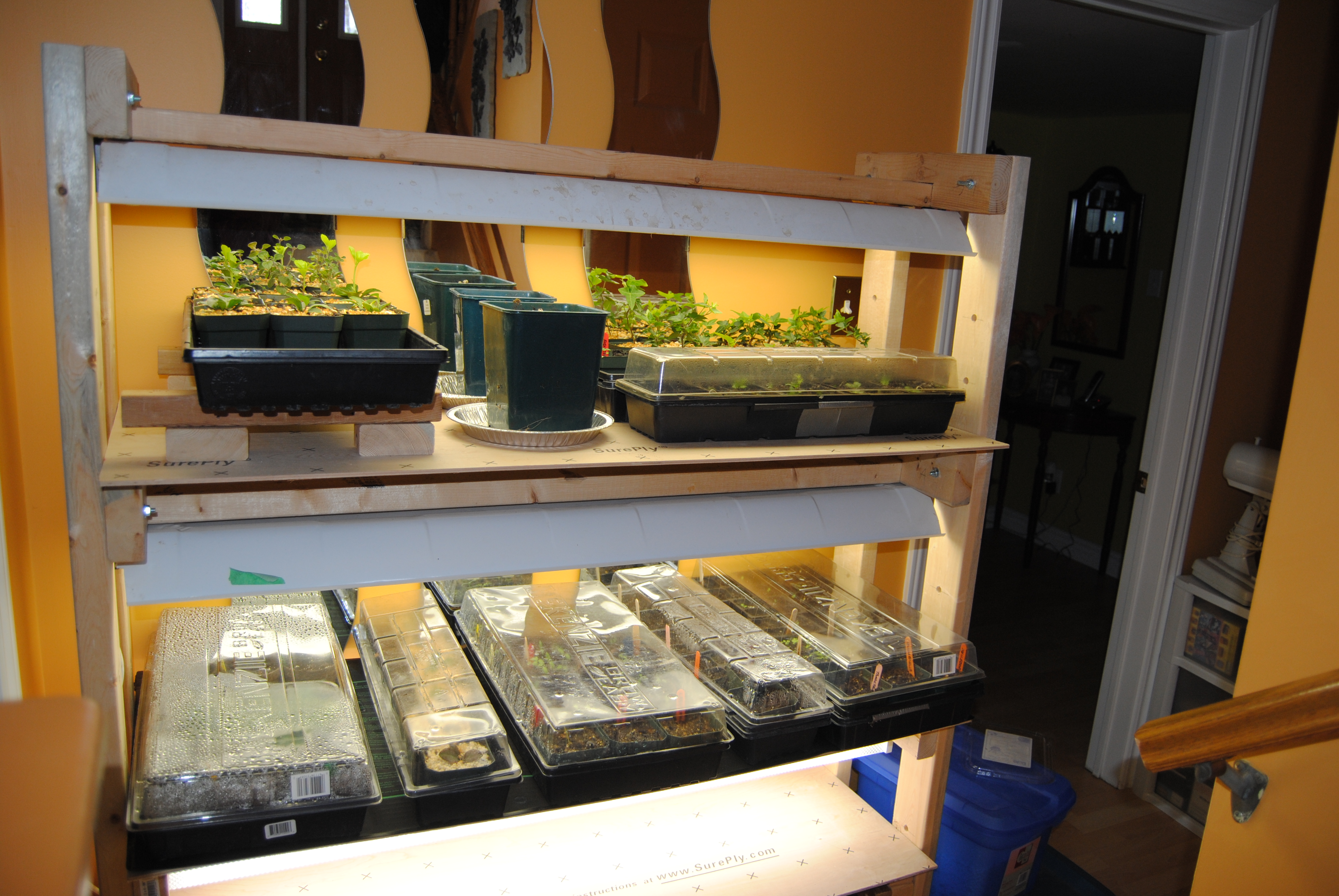 Grow lights from scratch Grow lights from scratch