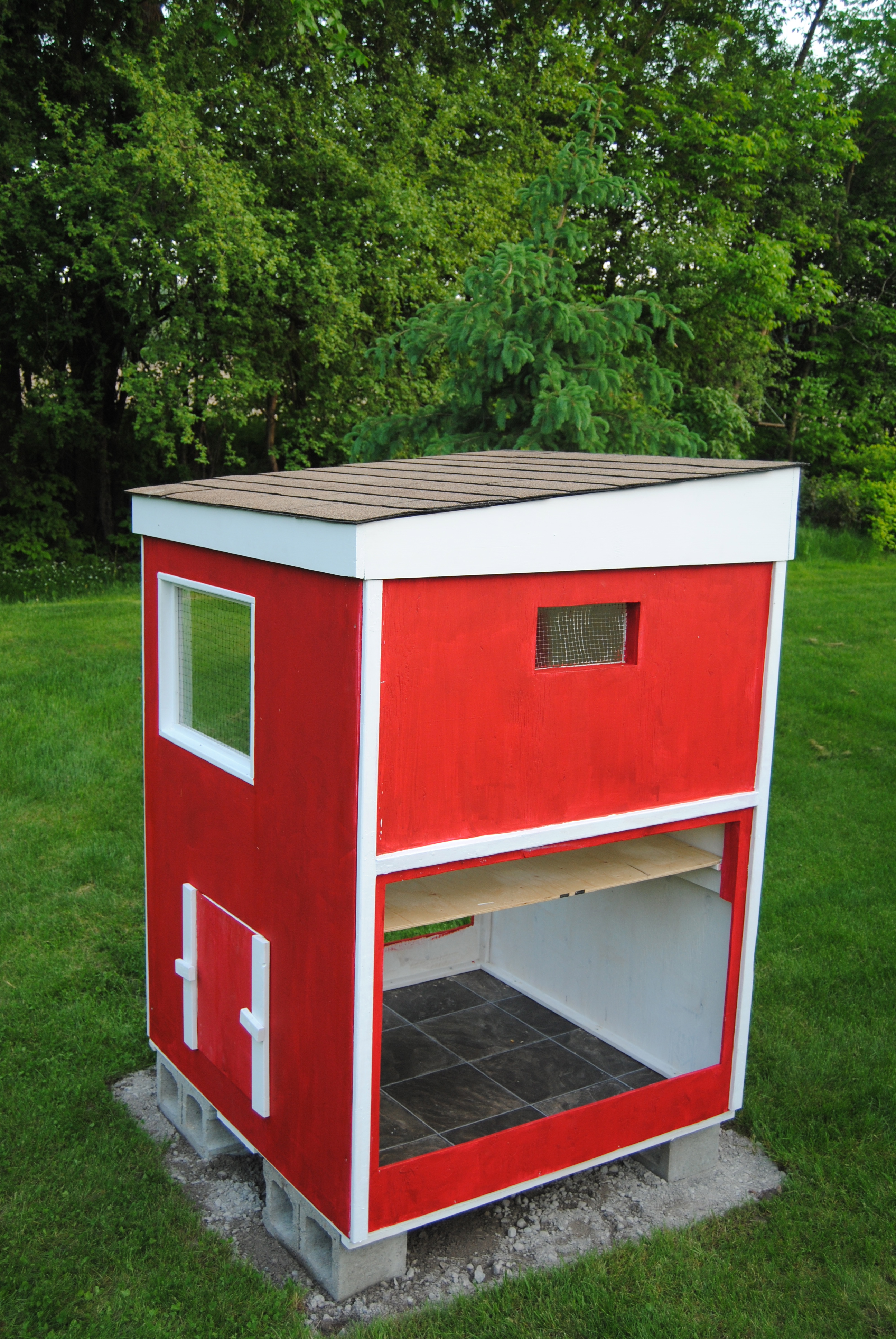 Coop-5-Roof Coop-5-Roof