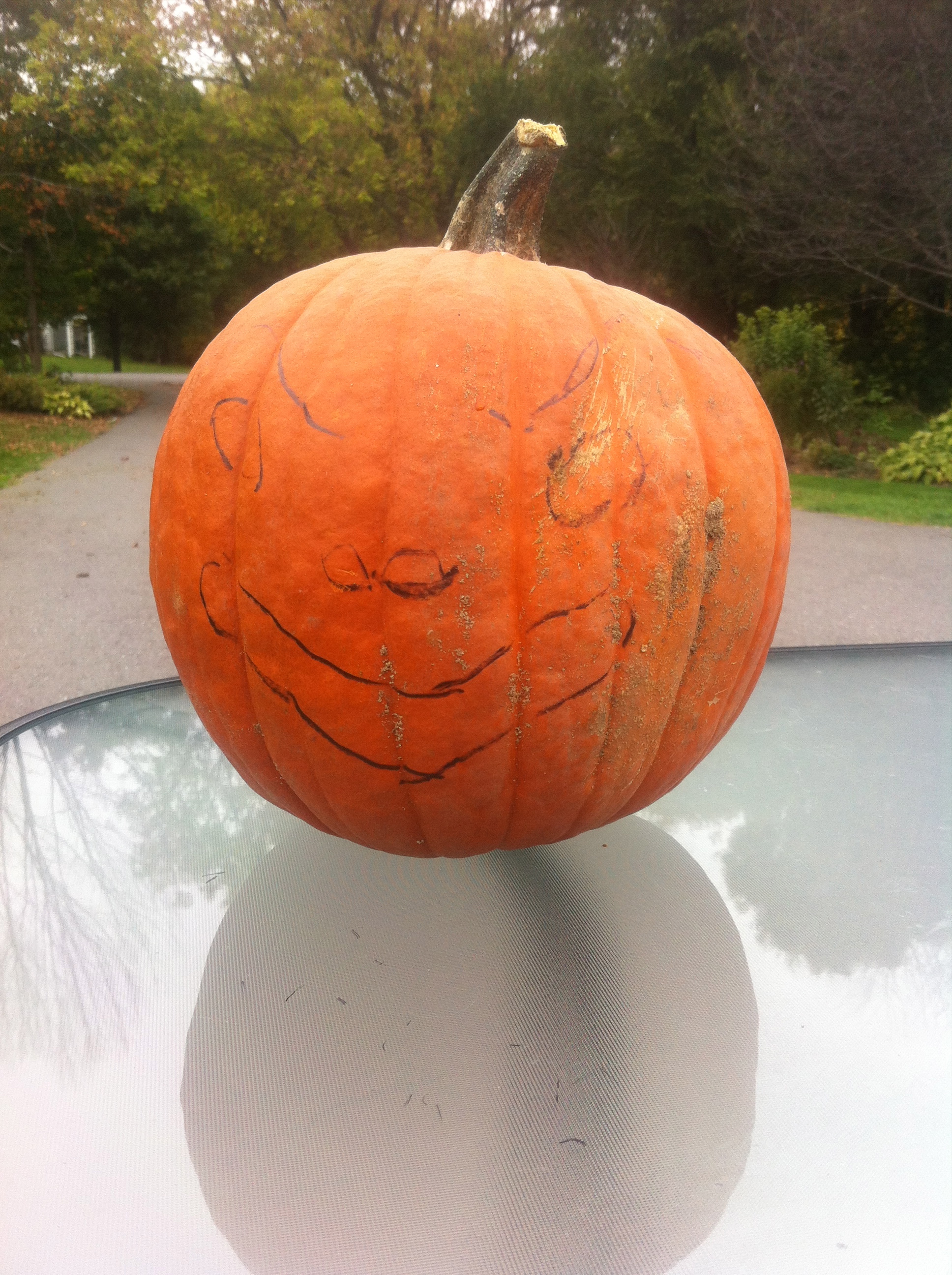 Pumpkin 1 Pumpkin 1