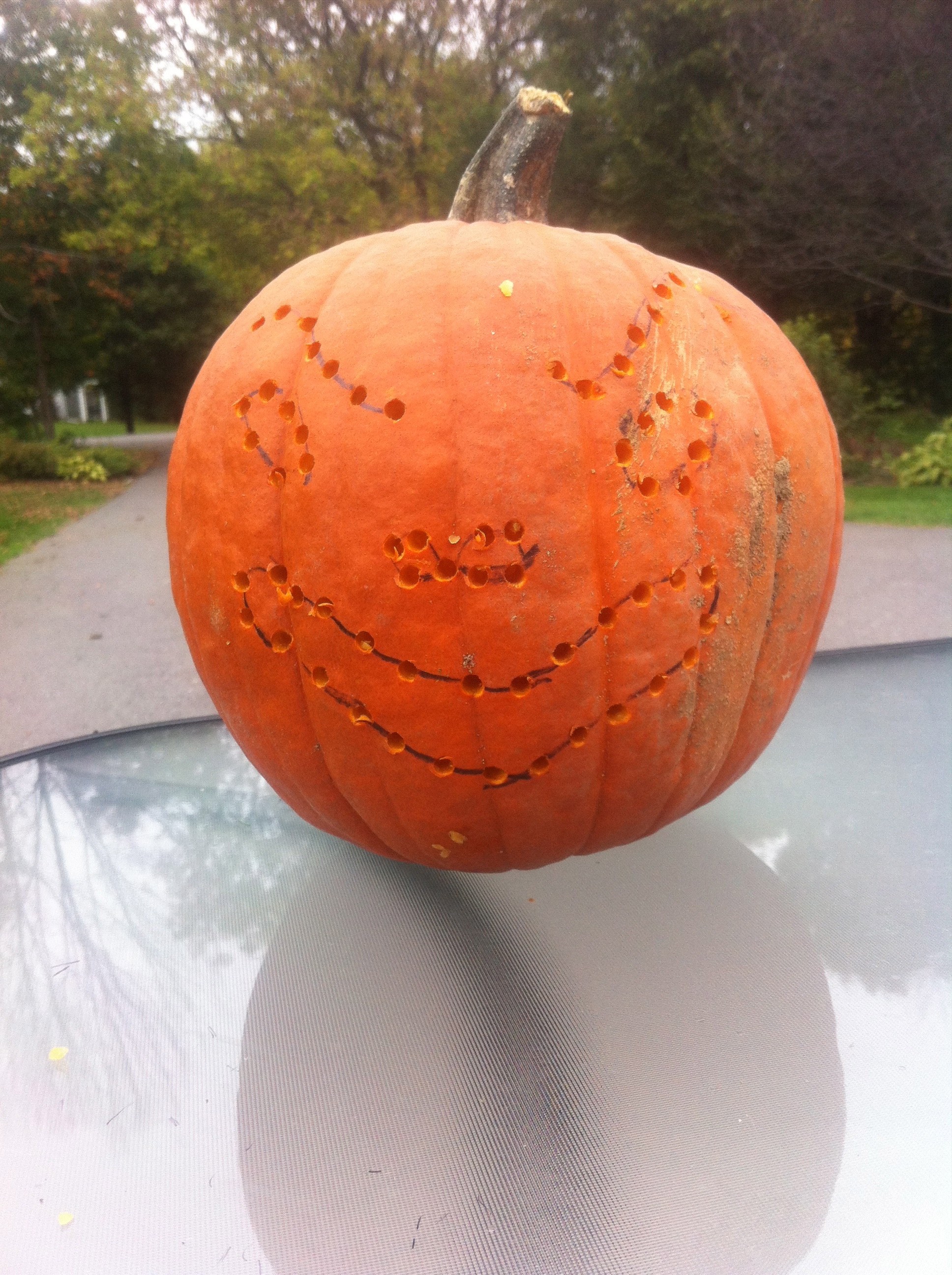 Pumpkin 2 Pumpkin 2