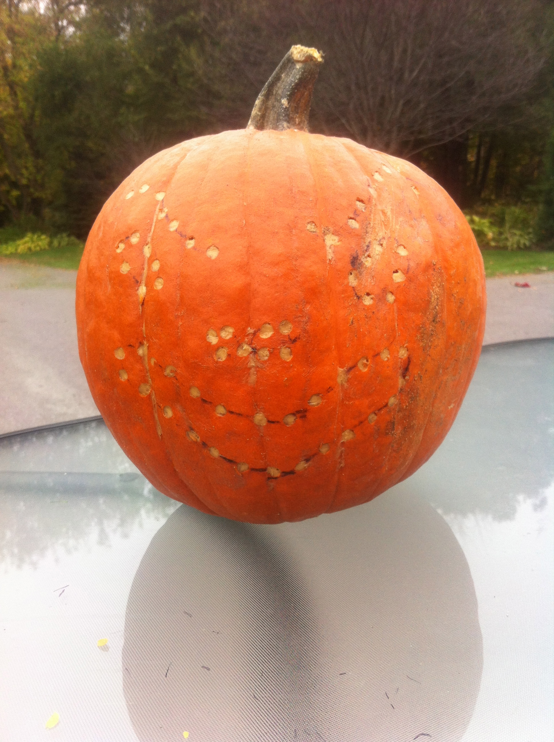 Pumpkin 3 Pumpkin 3