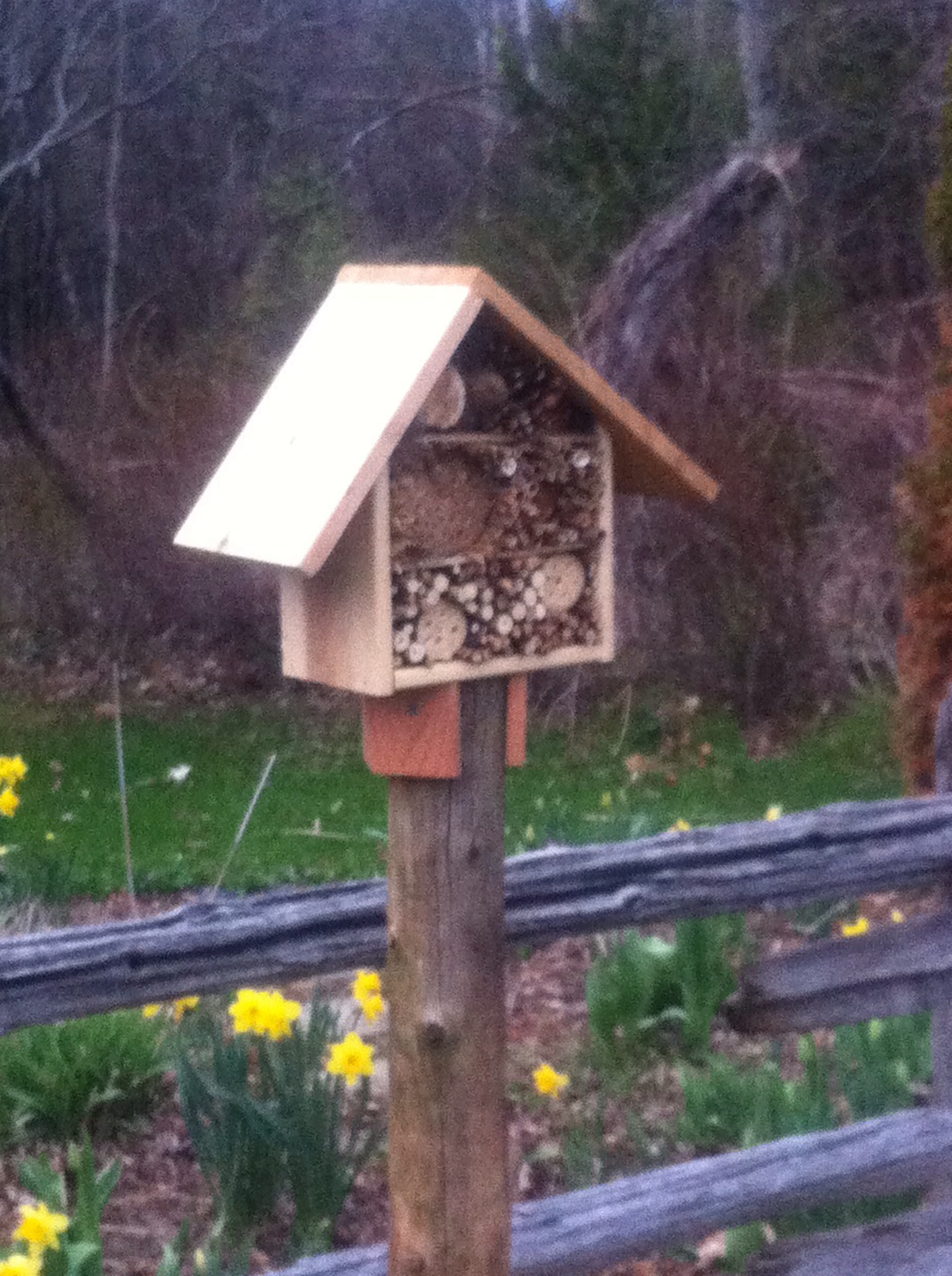BeeHotel BeeHotel