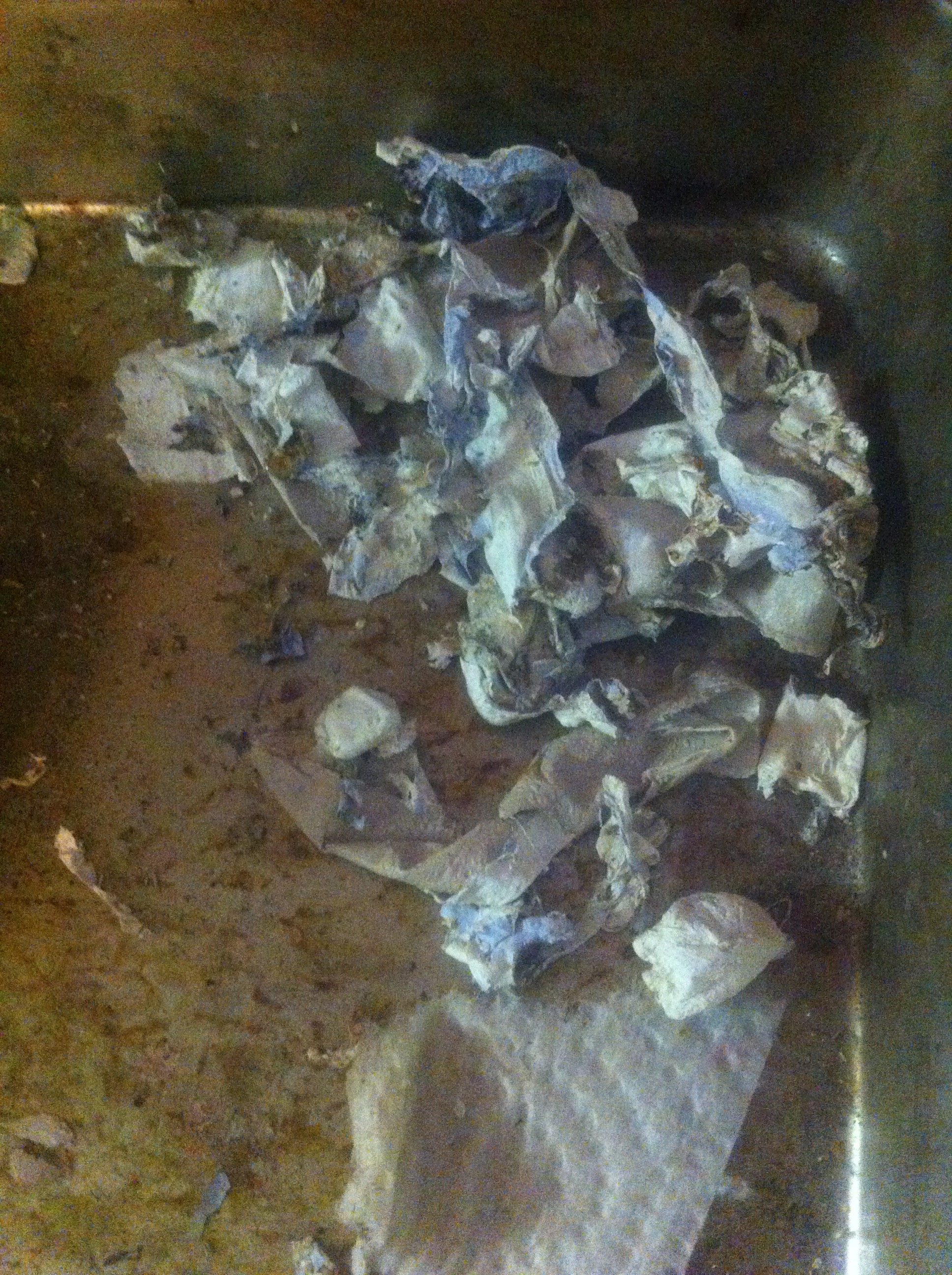 Paint Stripping Paint Stripping
