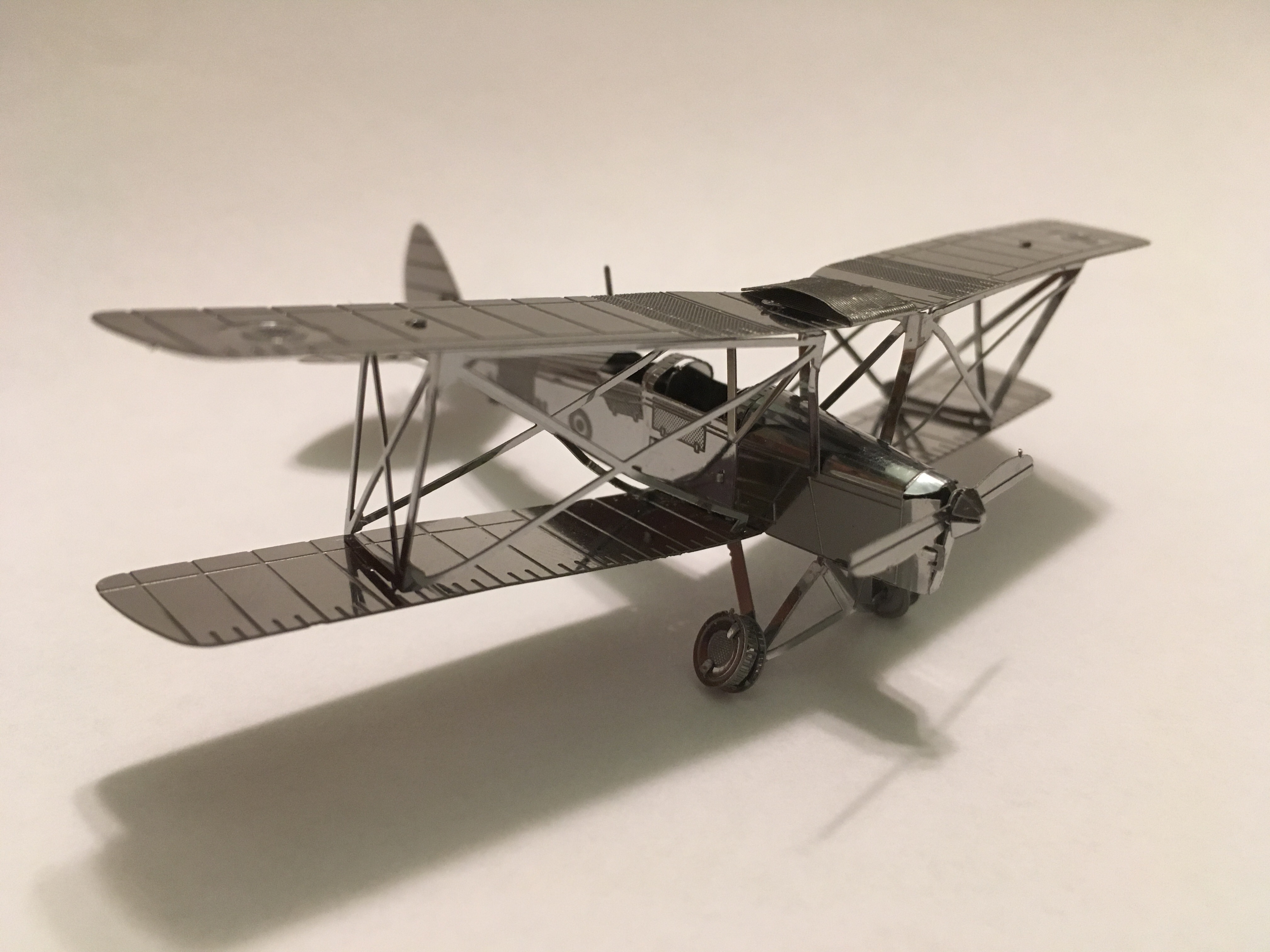 Tiger Moth Tiger Moth