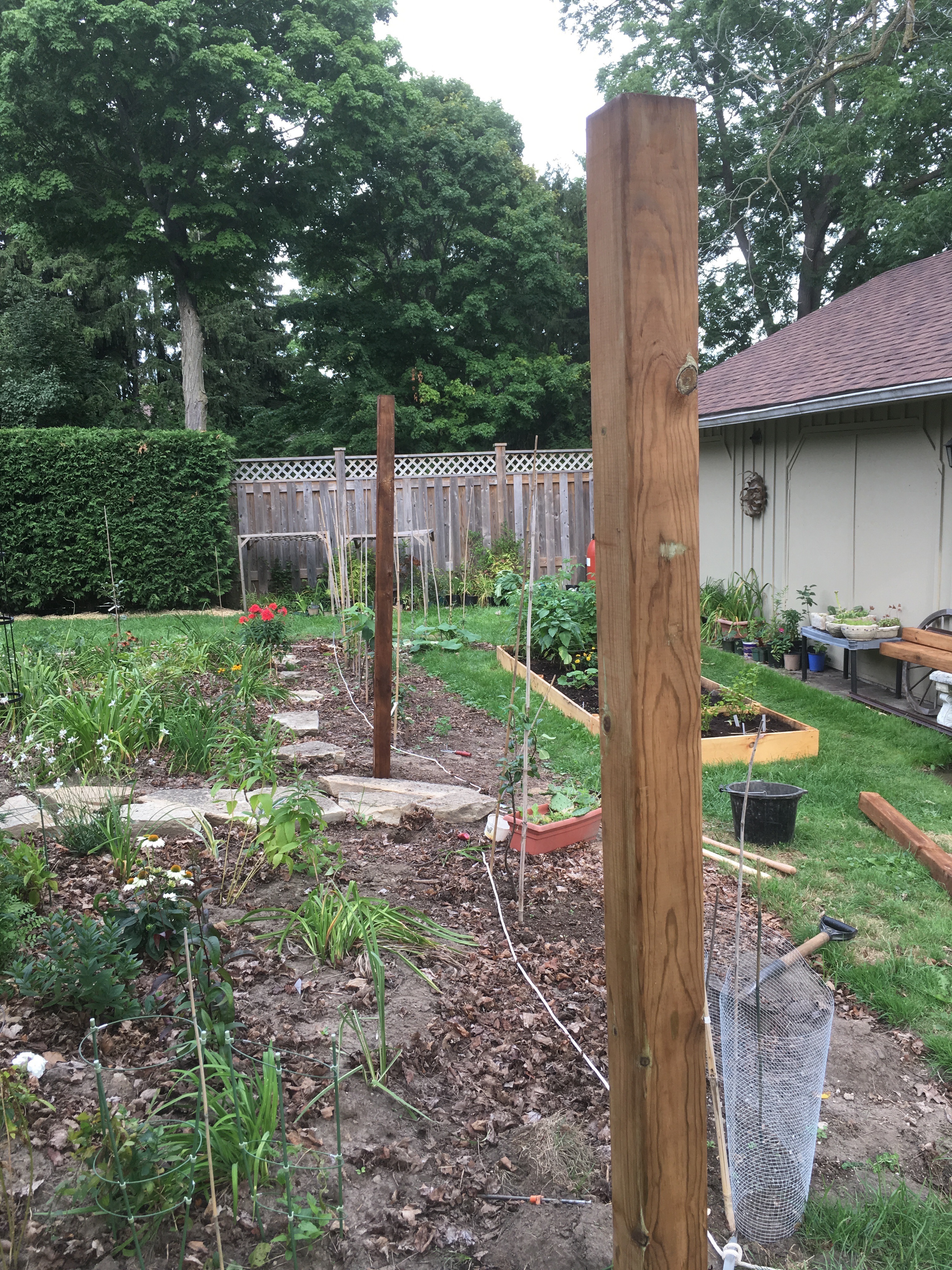 Espalier fence Espalier fence