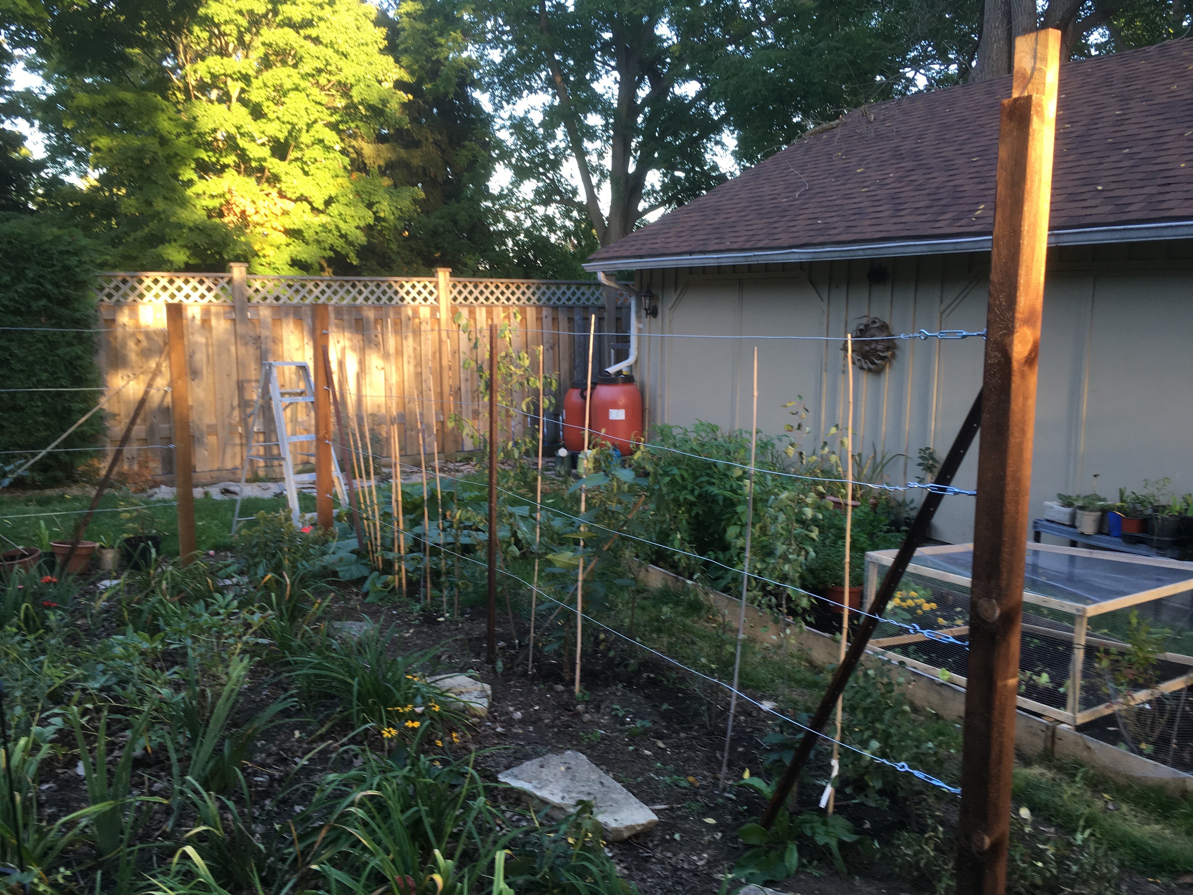 Espalier fence Espalier fence