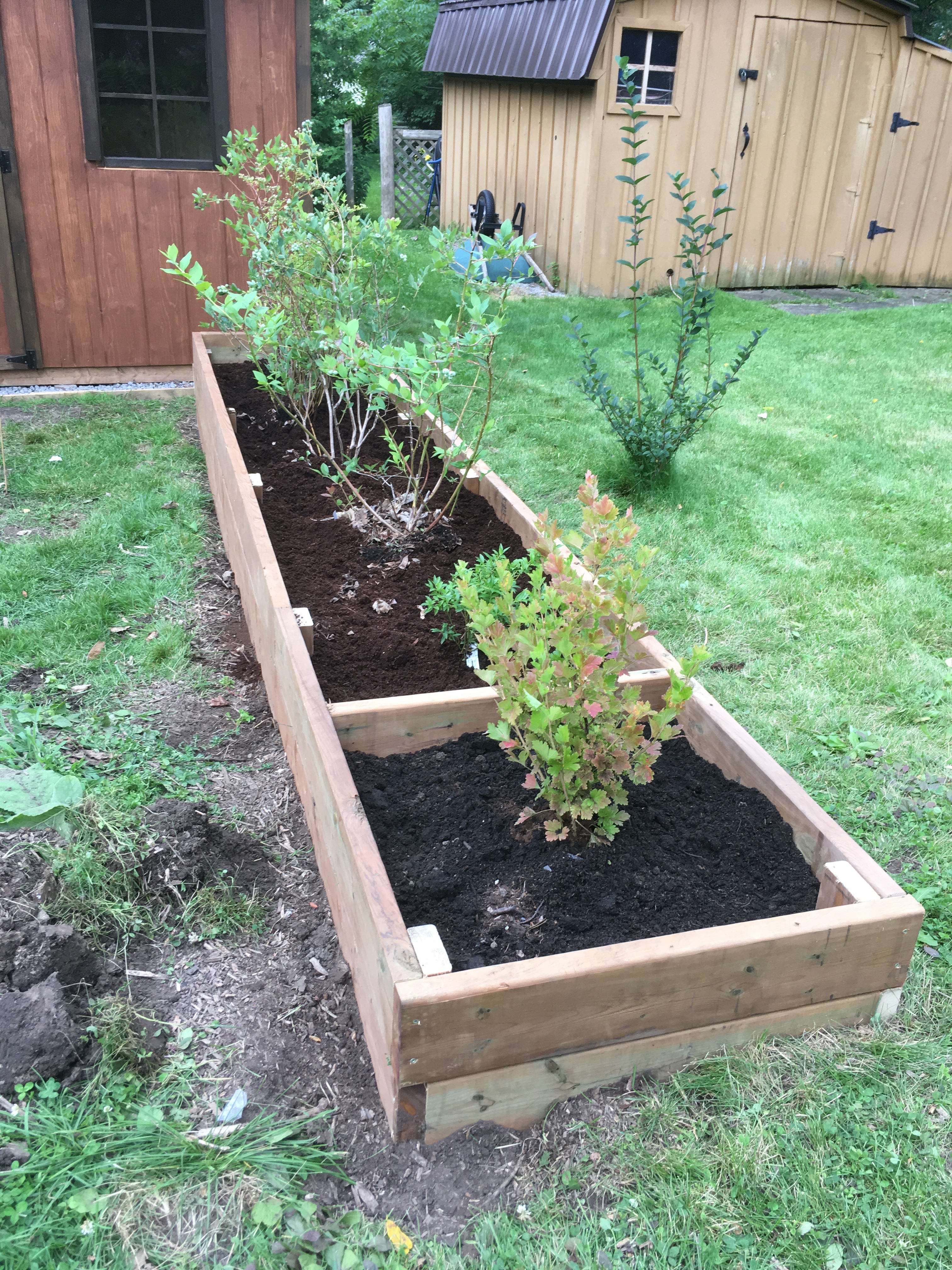 Raised Beds Raised Beds