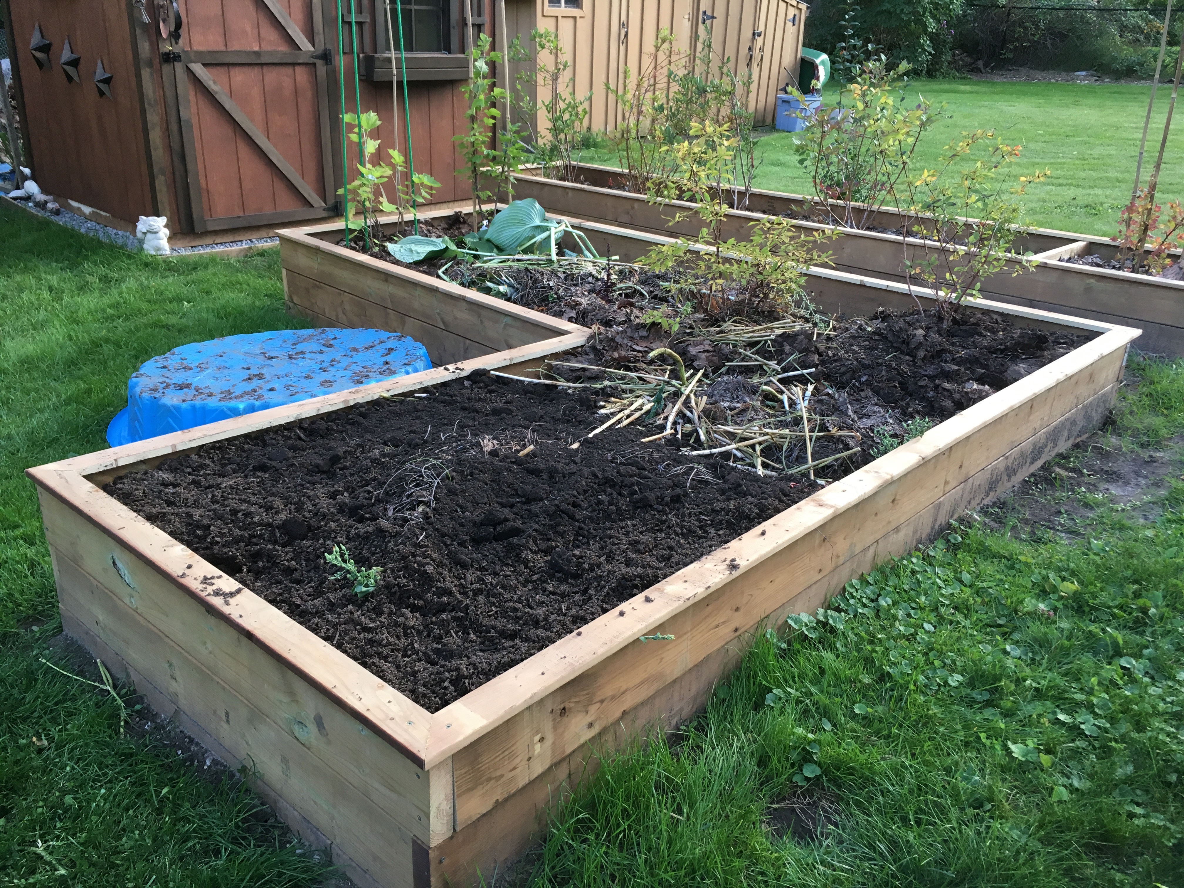 Raised Beds