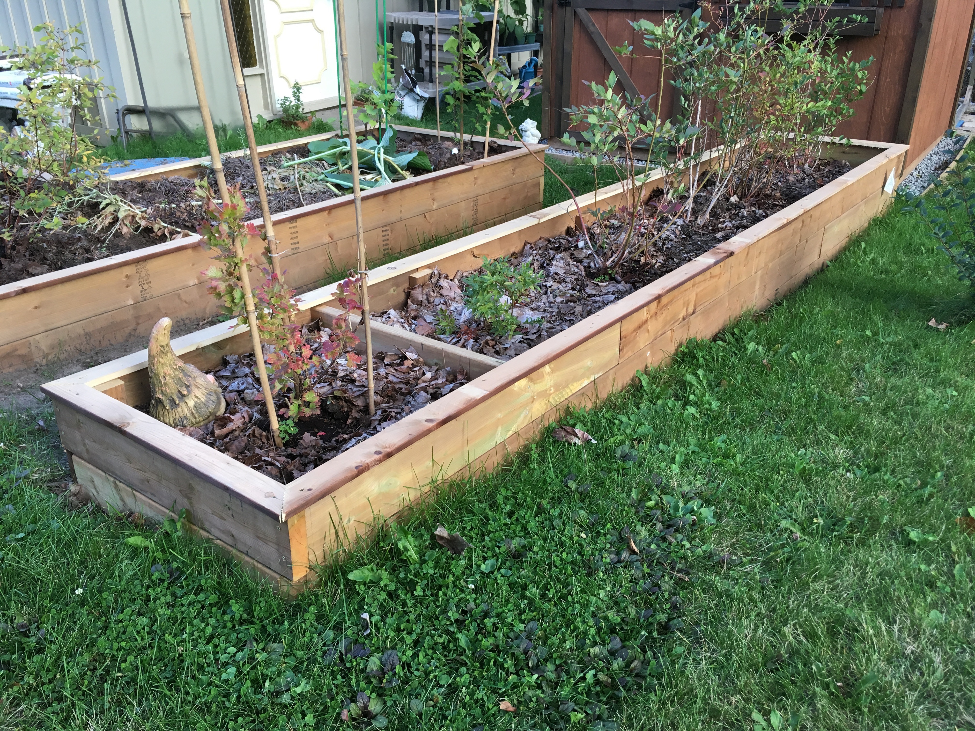 Raised Beds Raised Beds