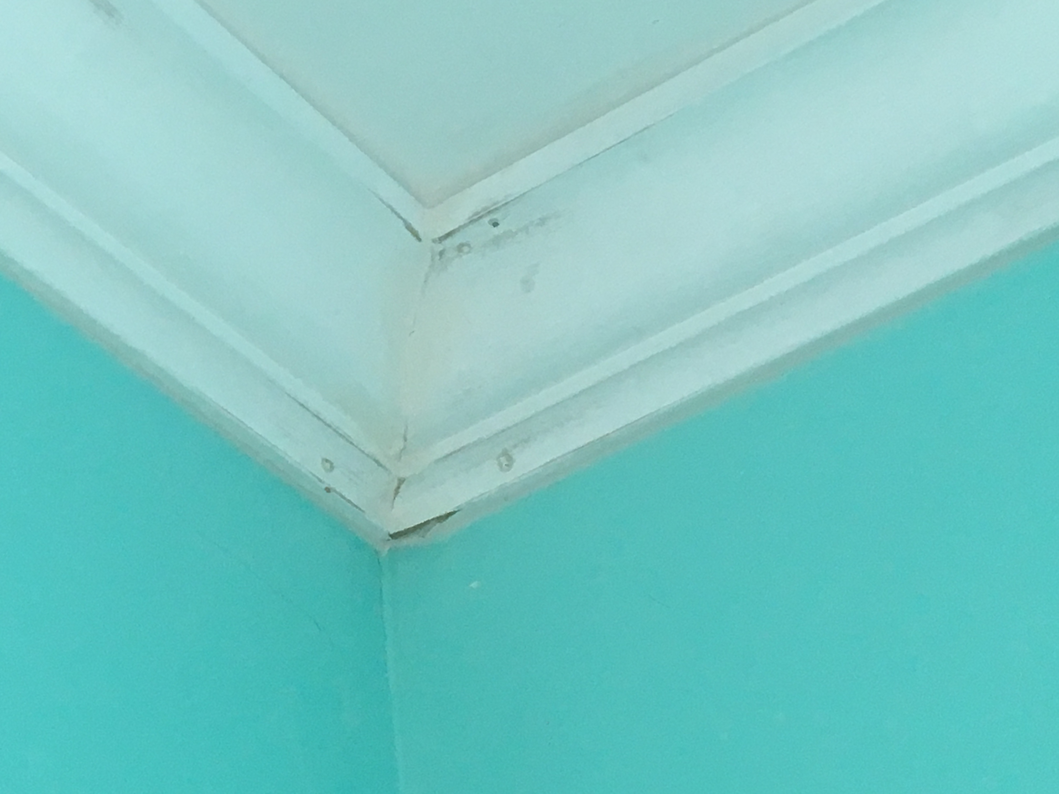 Crown Molding