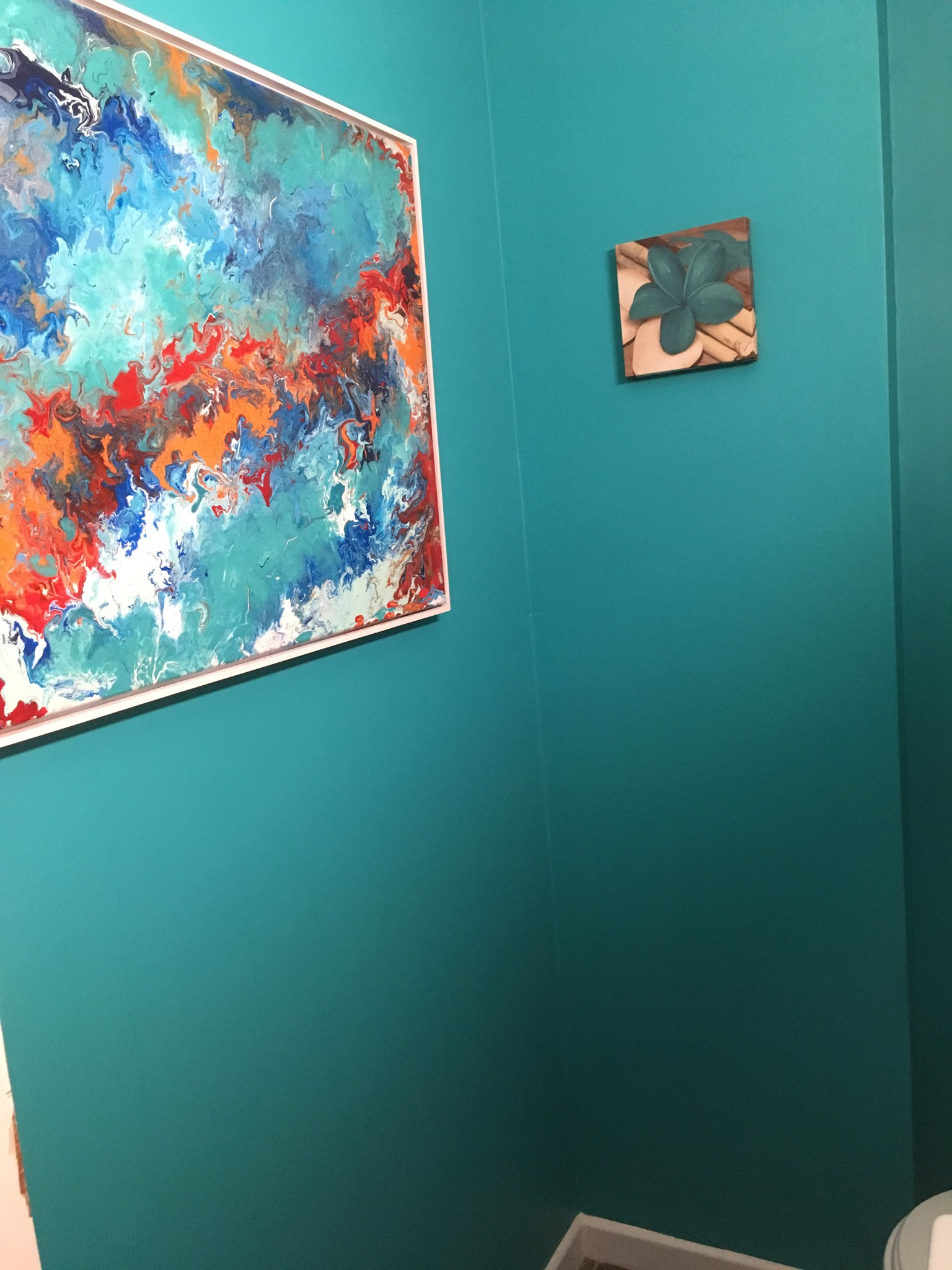 something to look at bathroom