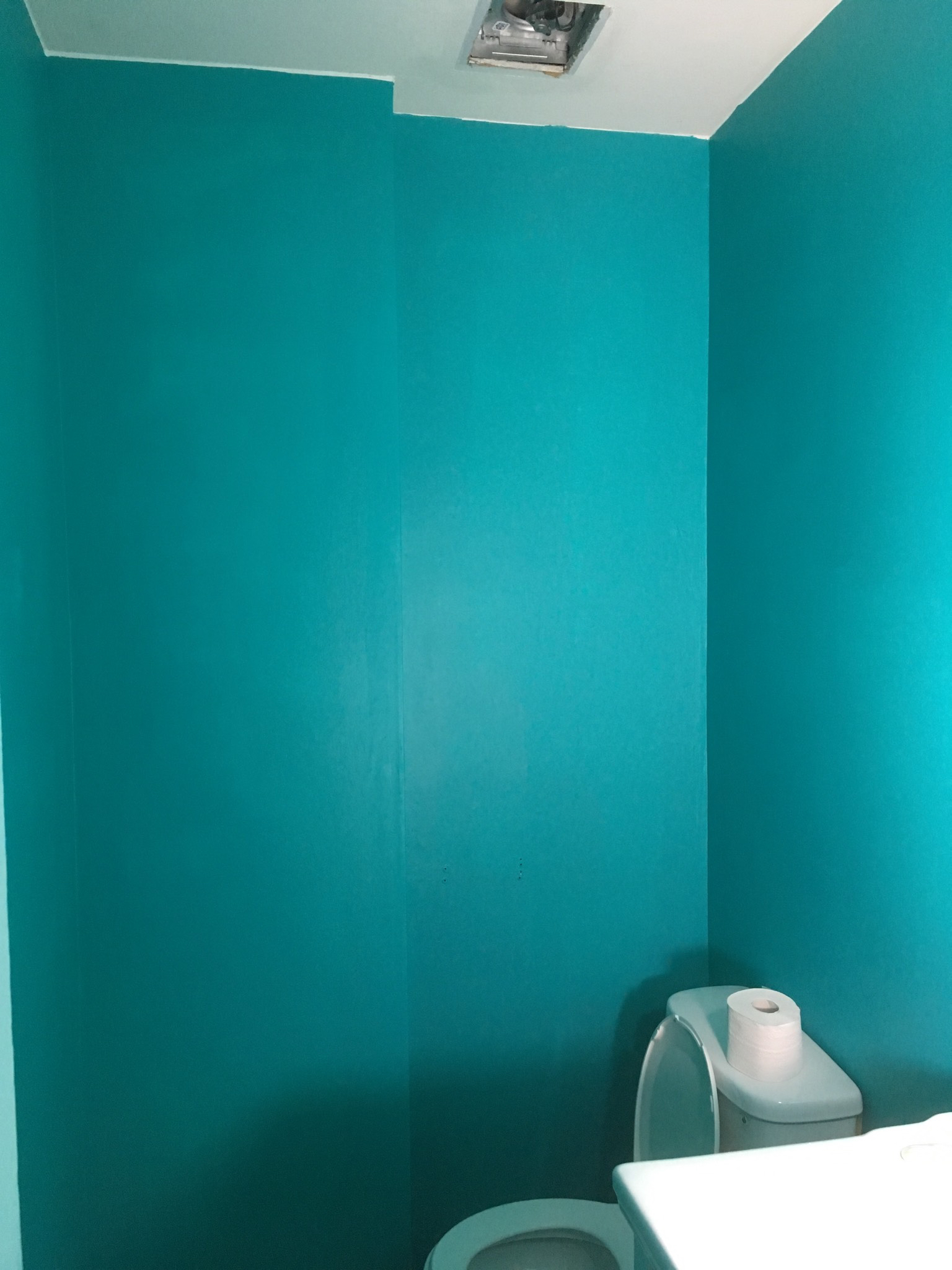 oh, snazzy colour bathroom